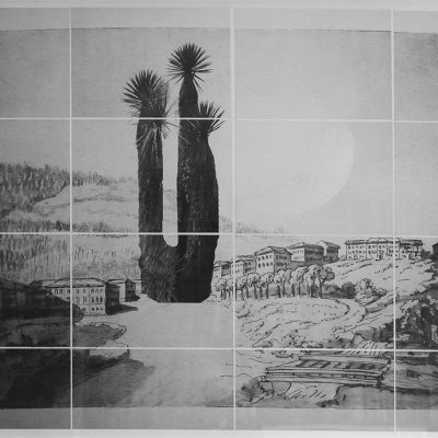 Land Art. Simon Levy, artist. Tropical tree superimposed on to fragmented Goethe sketch.