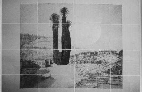Land Art. Simon Levy, artist. Tropical tree superimposed on to fragmented Goethe sketch.